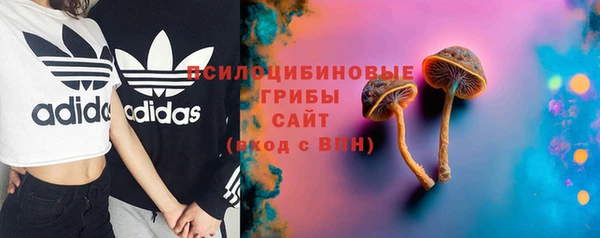 марки nbome Вяземский