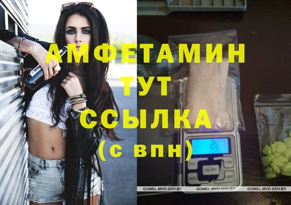 крисы Вязьма
