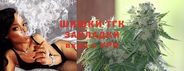 крисы Вязьма