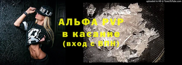 крисы Вязьма