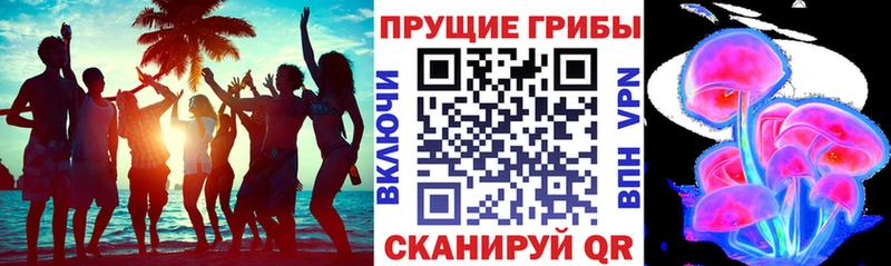 Псилоцибиновые грибы Psilocybine cubensis  Купить  Инта 